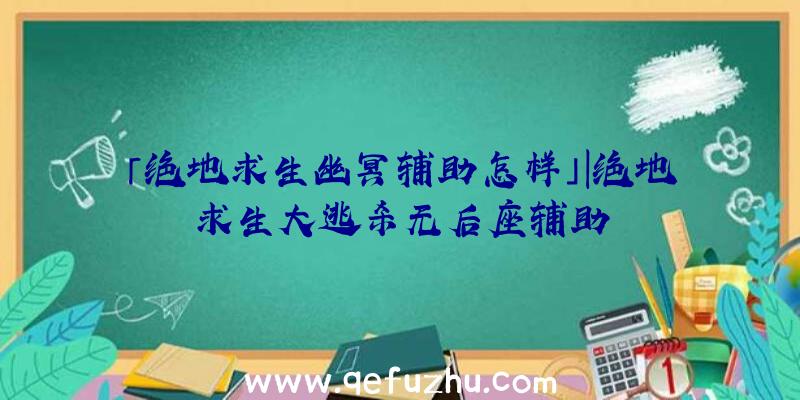 「绝地求生幽冥辅助怎样」|绝地求生大逃杀无后座辅助